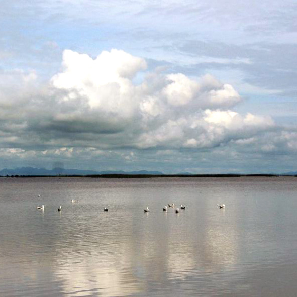 Laguna de Santiaguillo